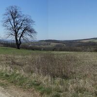 am Weinberg Blick nach West