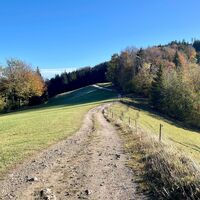 Freithofberg-Trail - Maria Neustift