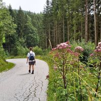 Am Katharinastein-Weg, Joglland-Waldheimat in der Oststeiermark