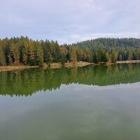 beim Felixer Weiher/Lago di Tret