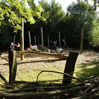 Station für das Gleichgewicht am Waldkulturpfad