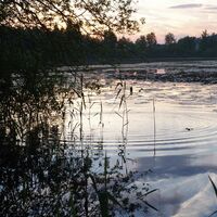 Ruschweiler See