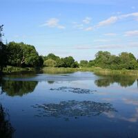 Dörrberger Weiher