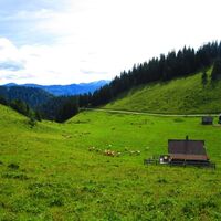 Weissalm