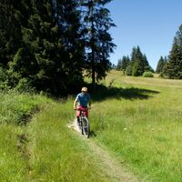 Fettbeder - Gantrisch Königsroute