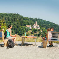 Aussicht zur Burg Liebenzell