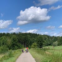 Radweg mit Blick auf Kühe