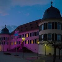 rosa Leuchten am Schloss