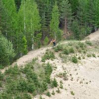 Am Rande eines alten Schotterhügels