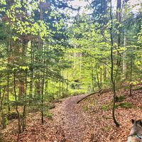 Wanderung Oberwarngau Taubenberg