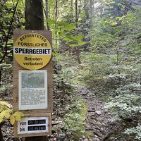 Seit dem Waldbrand 2021 ist die Region unterhalb des Mittagssteins noch bis Ende 2024 gesperrt inkl. die Pfade die vom Höllental raufgehen