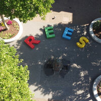 Rees von oben