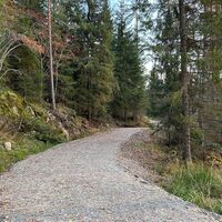 Breiter Sandweg durch den Wald