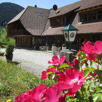 Campingplatz Trendcamping Wolfach