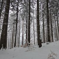 Semmering - Eselstein