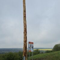 Markierung der verborgenen Bleßberghöhle mit Totholzstamm