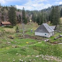 Herrenalm