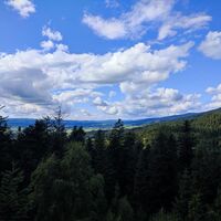 Aussicht vom Liebesfelsen Richtung Klaffer