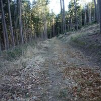 am Rückweg vom Herzogentisch