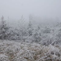 am Wander-und Pilgerweg Richtung 7110