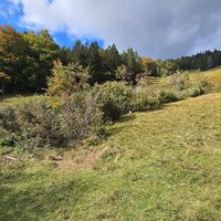 Alternativer Aufstieg über Wiese