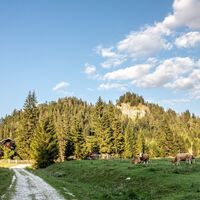 Abbrenn der äuserste Punkt der Runde
