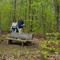 Wanderweg am Eilumer Horn