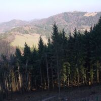 Abstieg Grüntalkogel