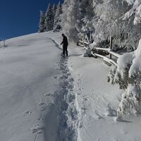 Soldatenrunde_Aufstieg Sommerlanger Zaun