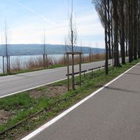 Damm zur Reichenau