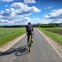 Mitten durch die Felder