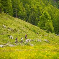 Gspon Rundtrail
