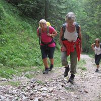 Göriacher Alm und Hochanger