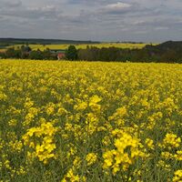 Von Ziegenrück zur Fernsicht