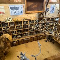 Der Murmeltierpfad ©Archivio Funivia Ciampac e Contrin S.p.A.