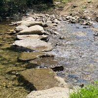 Edlseer-Alm5_Birkfeld_Oststeiermark