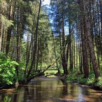 Freundorfer Steg im Hintergrund