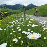 Weg Les Plans - Panorama Bike Etappe 12