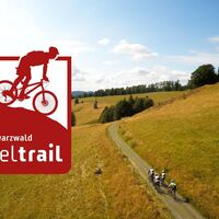 Gipfeltrail beim Gisiboden