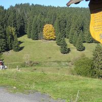 Harzhüttengrund Oberer Berggrabenweg