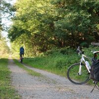Murradweg (Variante)