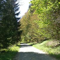 Von Rodacherbrunn zum Titschendorfer Floßteich