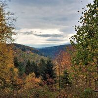 Herbstlicher Blick auf die Burgruine Liebeneck