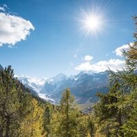 Herbst in Pontresina