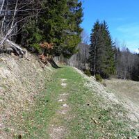 Wiesenweg zum Zinkenkogel