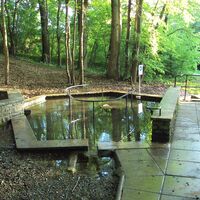 Wassertretbecken Plüneckenbrunnen in Salzgitter-Bad