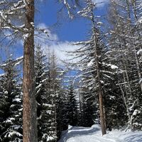 Bifangweg durch die Schneelandschaft