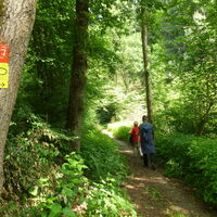 Panoramasteig vor Bielstein