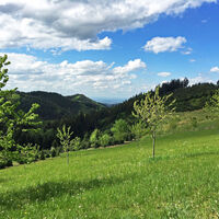 Aussicht Klikutt
