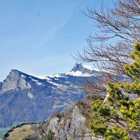 Aussicht auf Gonzen und Gauschla vom Regitzer Spitz